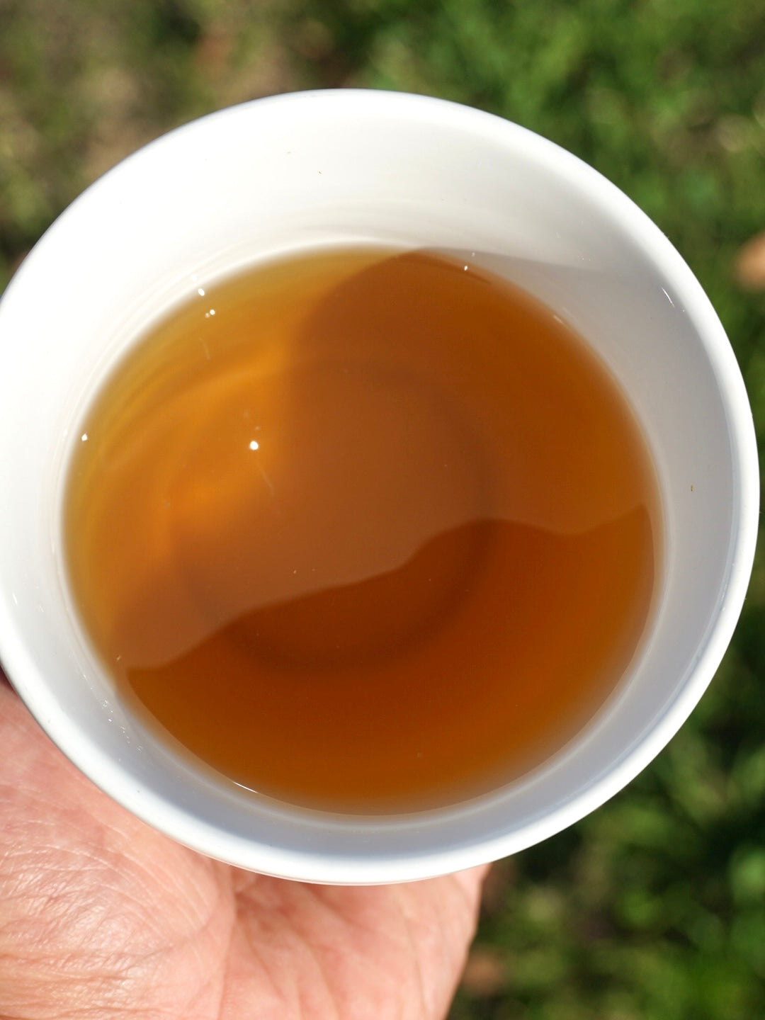 Sunny Hills Tea soothing ginger chamomile mint tea brewed